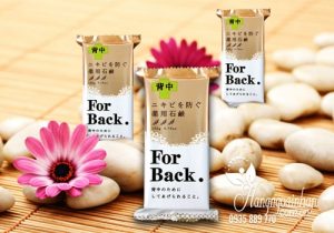 Xa-Phong-Tri-Mun-Lung-For-Back-Medicated-Soap-Pelican