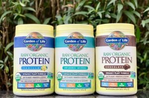 Bột protein Garden Of Life Raw Organic là gì?-1