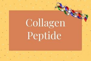 Collagen peptide loại nào tốt? Có nên dùng SR Collagen Peptides?-1